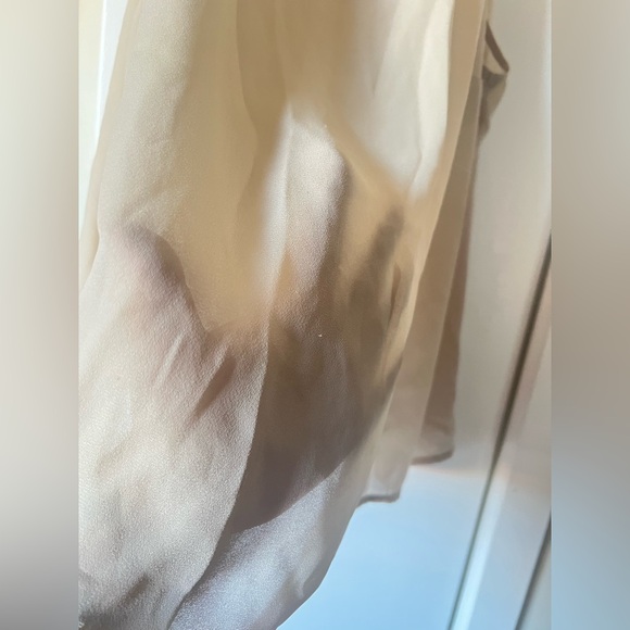 Elegant Beige Sheer Top ( read description ) - Picture 2 of 5